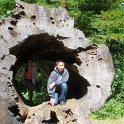 Summer, 2012, with Kara, Andrew and Madeline - Avenue of the Giants - 14